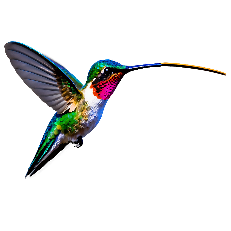 Hummingbird With Nature Background Png Mjq PNG