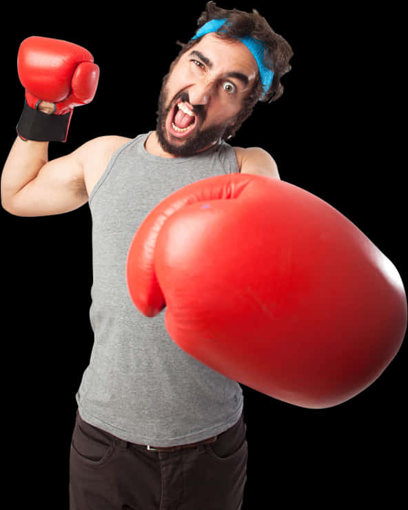 Humorous Boxer Readyfor Action PNG