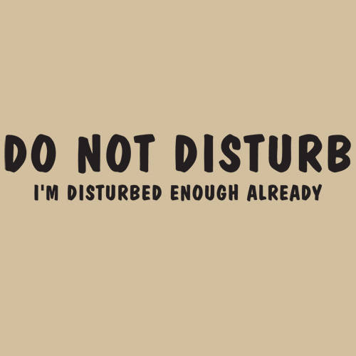5 Ace PLEASE DO NOT DISTURB I AM DISTURBED ENOUGH ALREADY WALL POSTER  STICKER FOR BEDROOM,LIVING ROOM,OFFICES OF 300 GSM (12x18) inch WITHOUT  FRAME : Amazon.in: Home & Kitchen