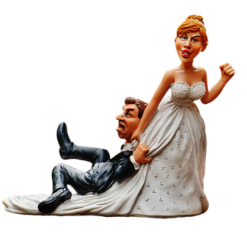 Humorous Wedding Cake Topper PNG