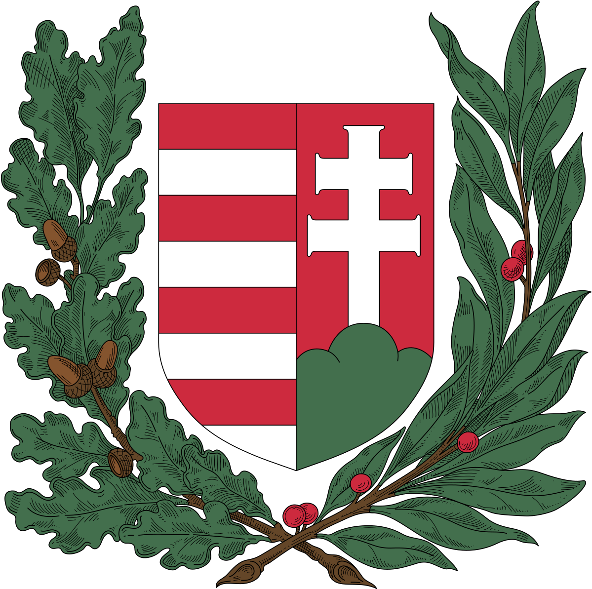 Hungarian Coatof Arms Illustration PNG