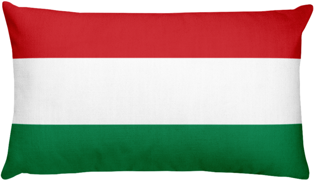 Hungarian Flag Pillow.jpg PNG