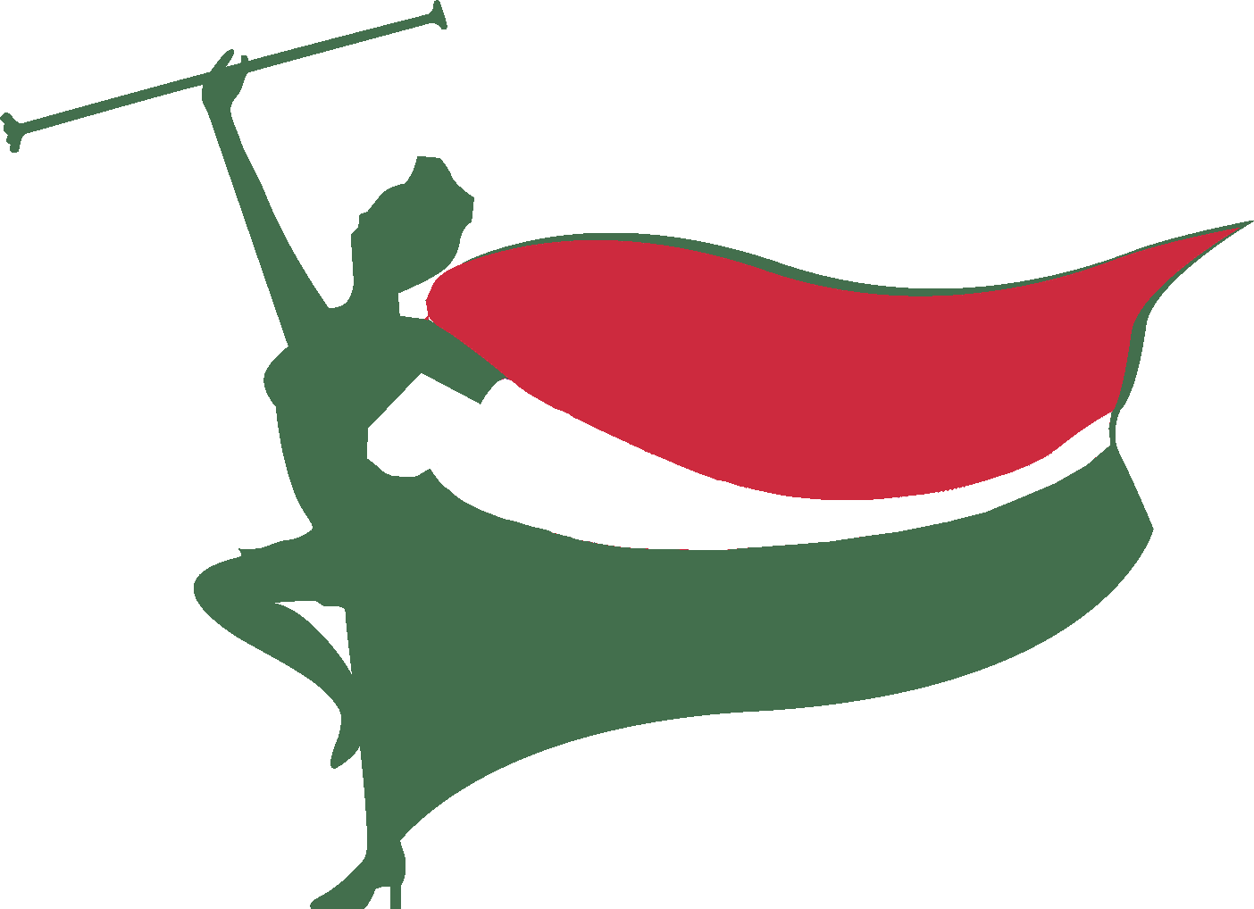 Hungarian Flag Silhouette PNG