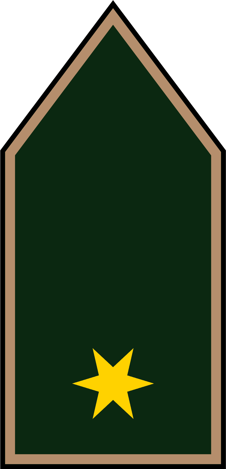 Hungarian Military Rank Insignia PNG