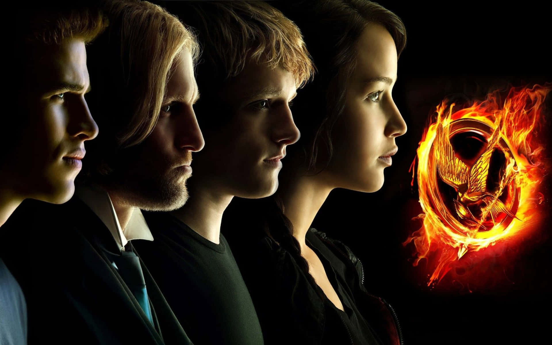 The Hunger Games - Twilight - Hd Wallpaper