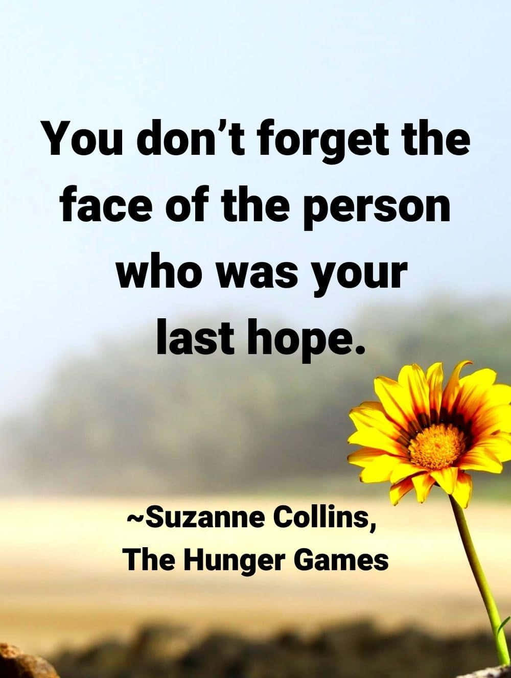 Hunger Games Quote Sunflower Wallpaper