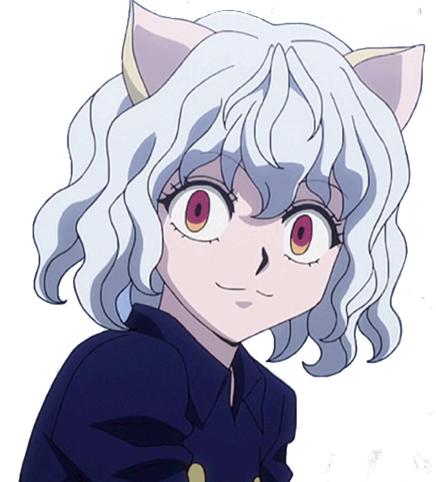 Hunter X Hunter Character With White Hairand Cat Ears PNG