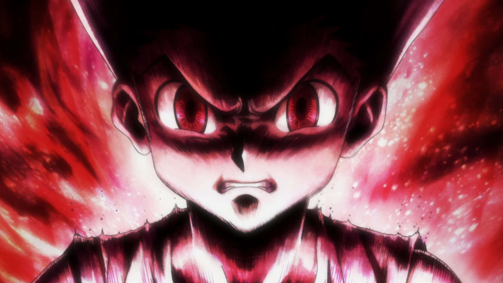 Red Gon Hunter X Hunter Picture