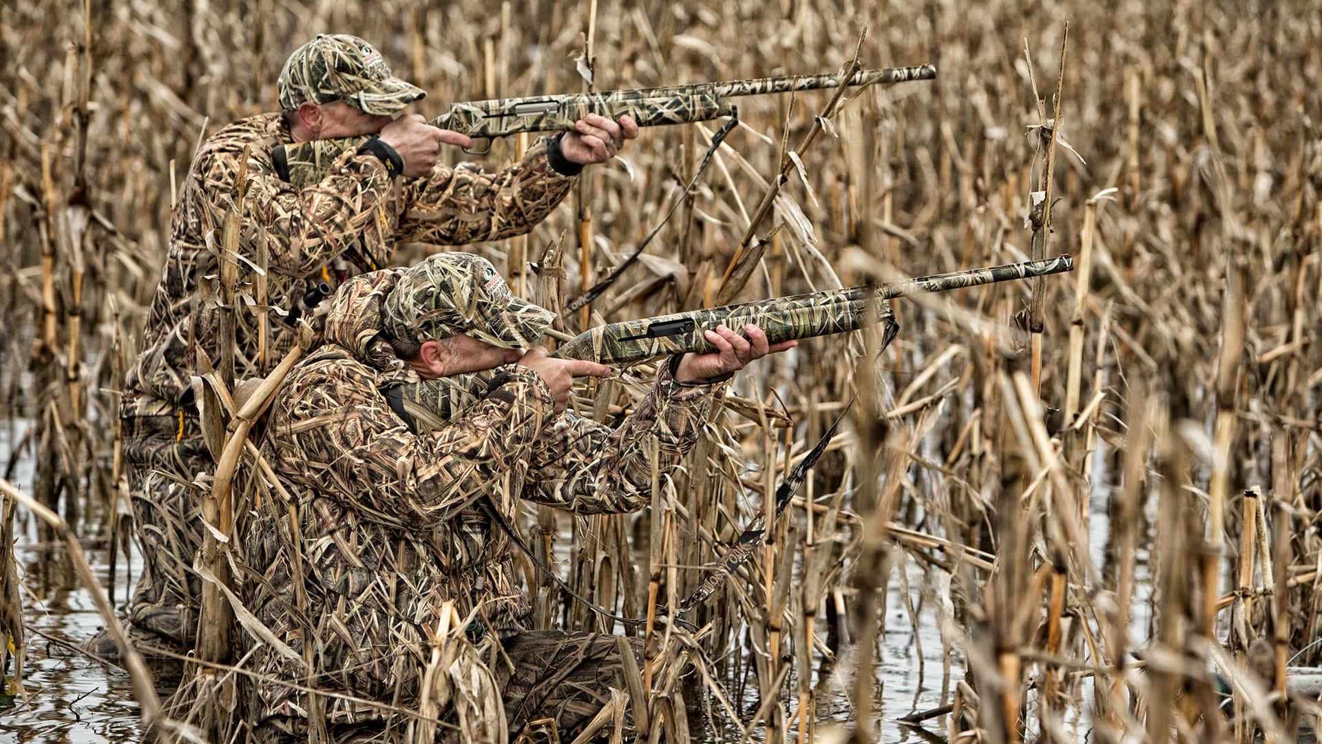 Military In Hunting Camo At Corn Field Wallpaper