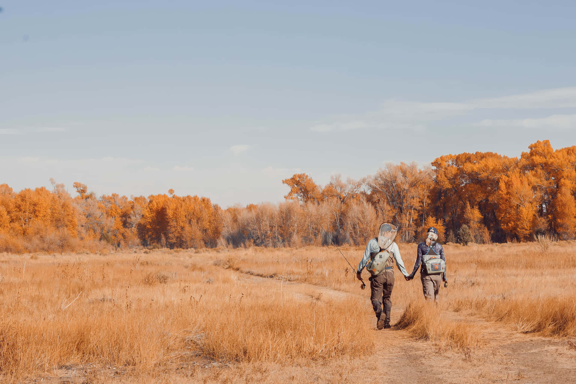 To personer går gennem et felt med gule træer om efteråret. Wallpaper