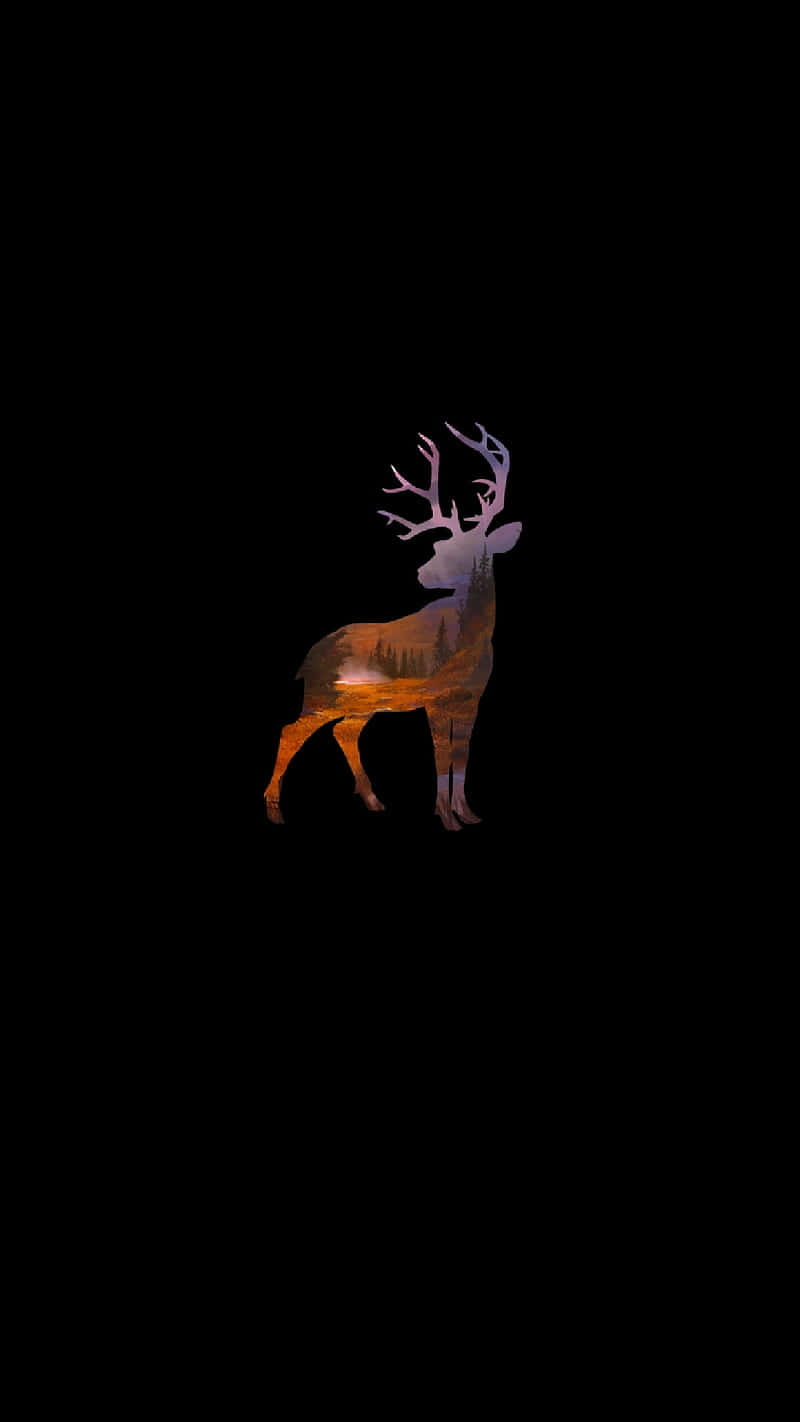 A Deer Is Standing In The Dark Wallpaper
