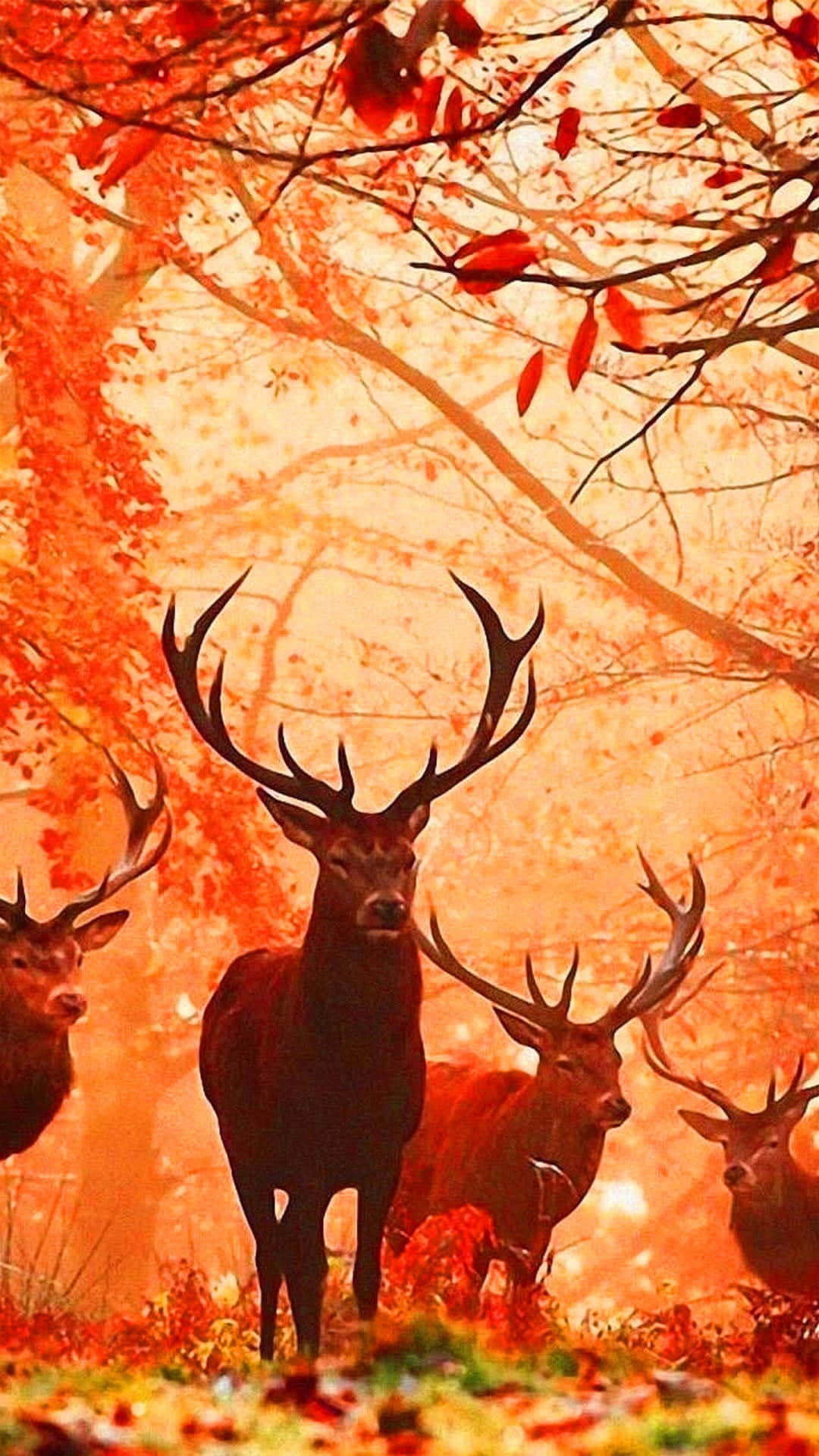 Get the Most Out of Your Hunt with the Perfect Hunting Phone Wallpaper