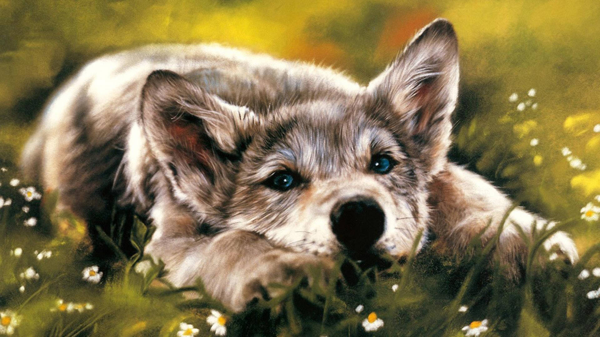 Husky Dog Art Wallpaper