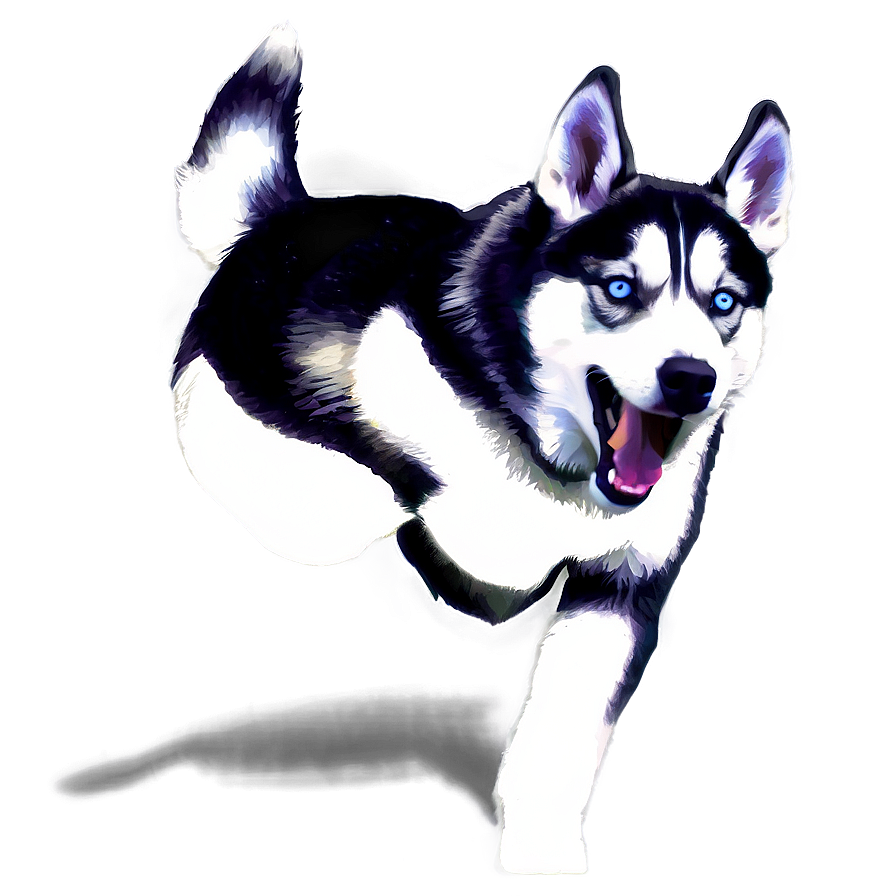 Husky Dog Running Png 06132024 PNG