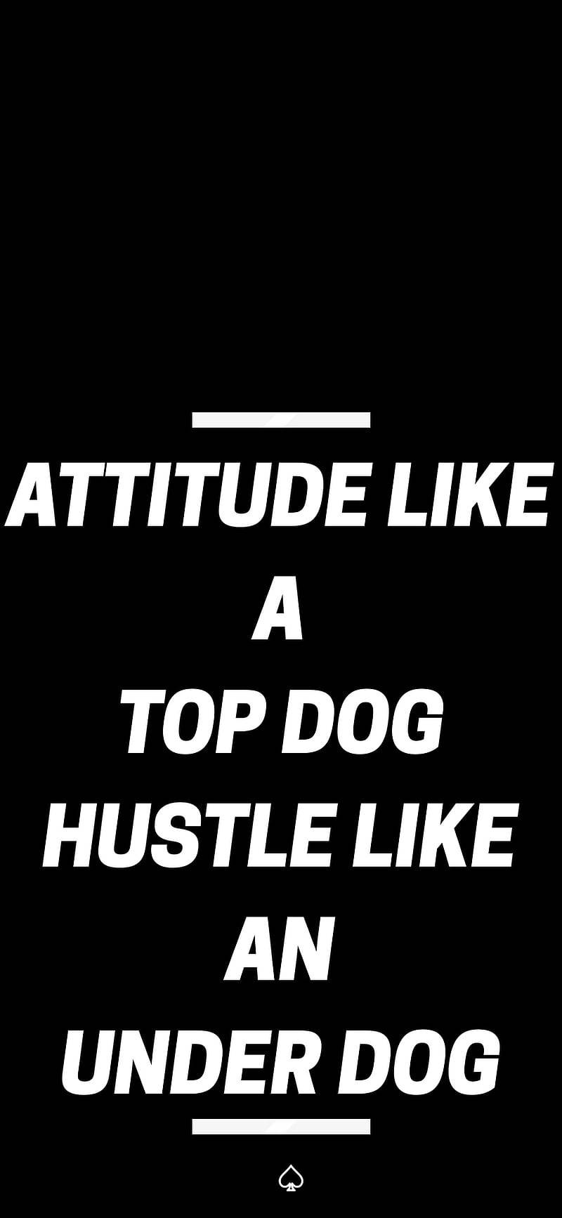 Attitude som en top hund Hustle som en underdog Wallpaper