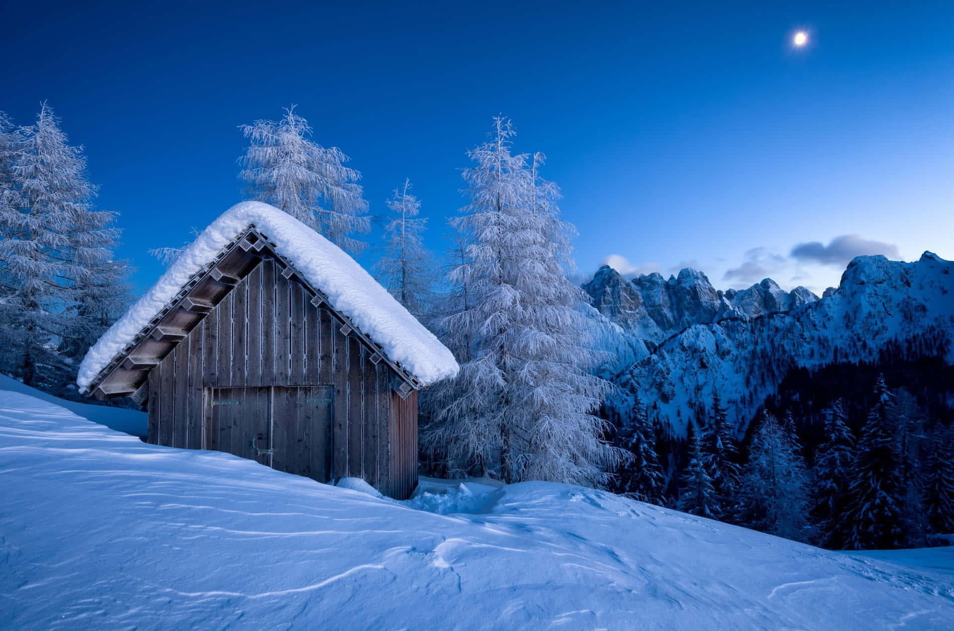 "Rustic Hut Nestled in an Untouched Wilderness"