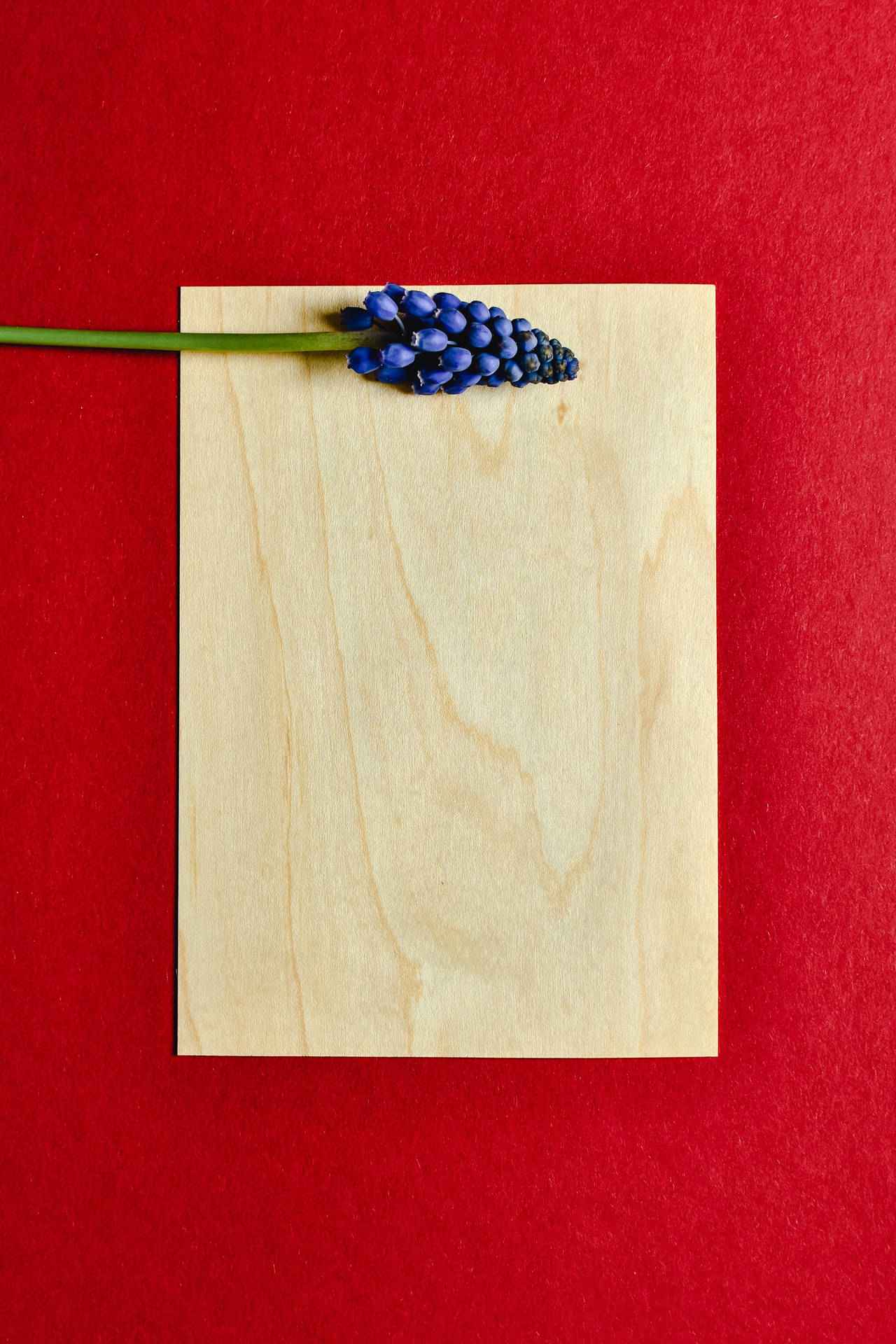 Hyacinth Flower Wooden Board