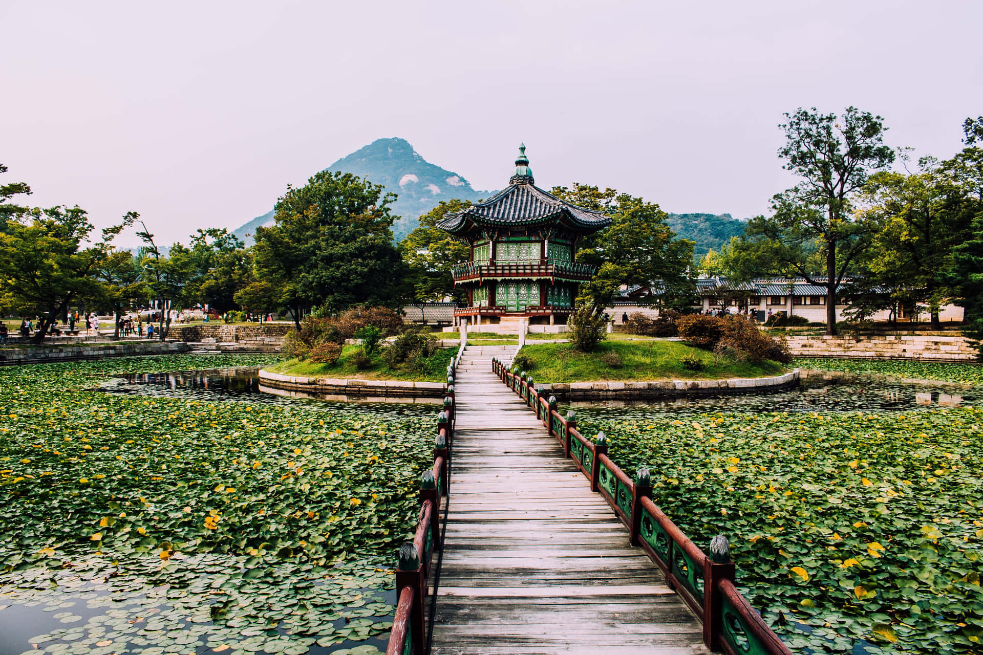 Hyangwonjeong Pavilion på Gyeongbokgung Palace ser smukke sommersolnedgangs scener Wallpaper