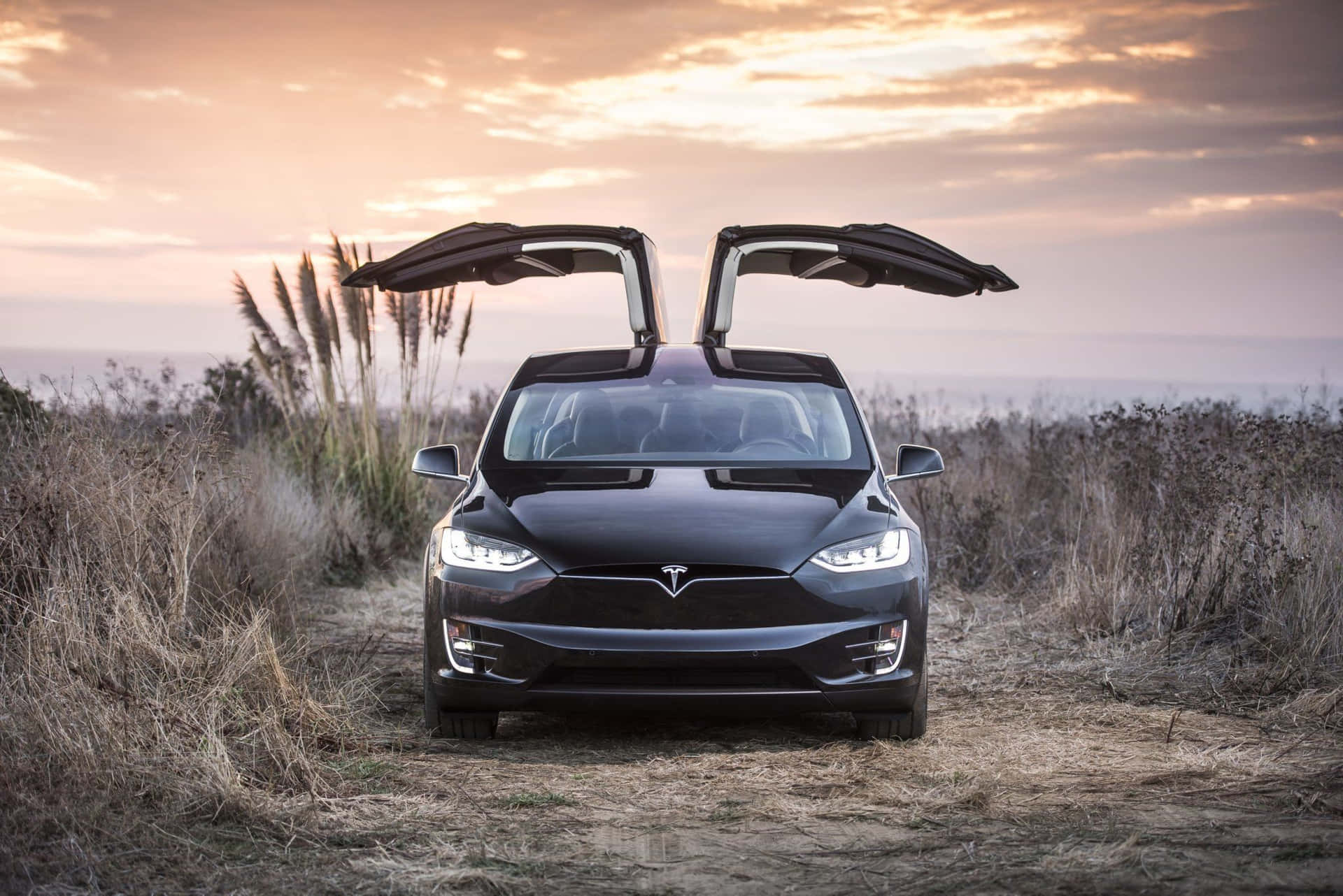 A sleek hybrid car parked in a city Wallpaper