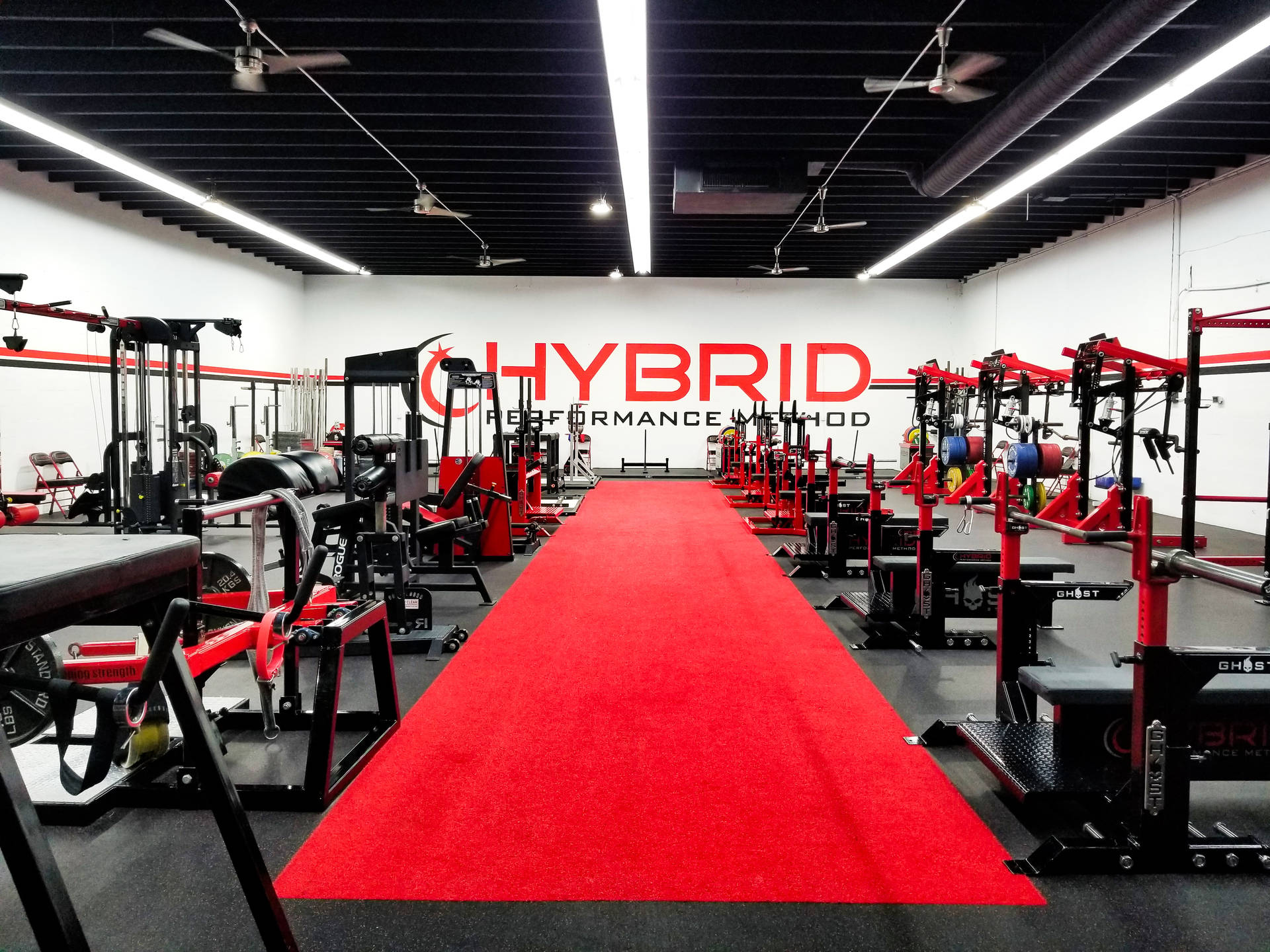 Hybrid Tyngdlyftning Gym Wallpaper