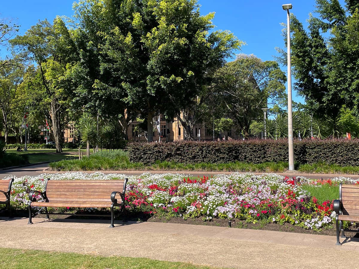 Hyde Park Sydney Floral Displayand Benches Wallpaper