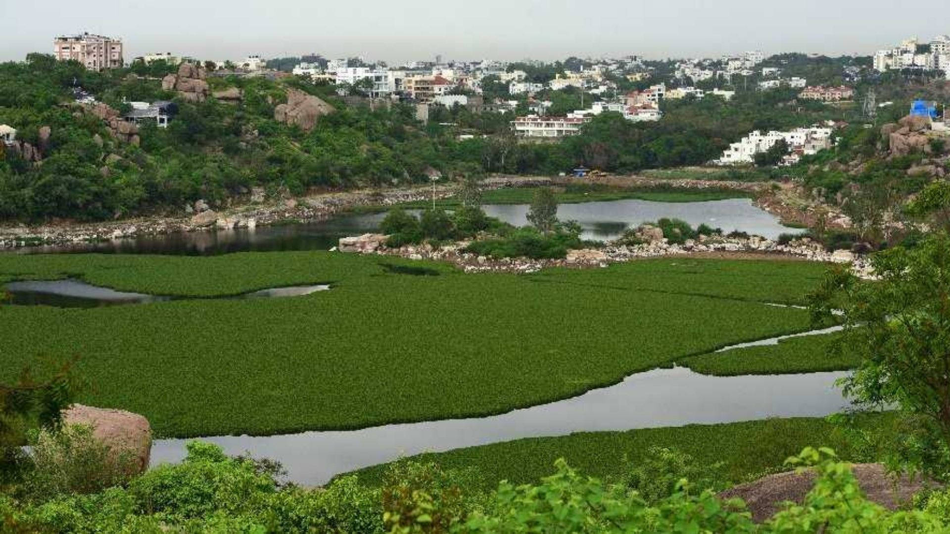 Hyderabad Durgam Cheruvu Lake