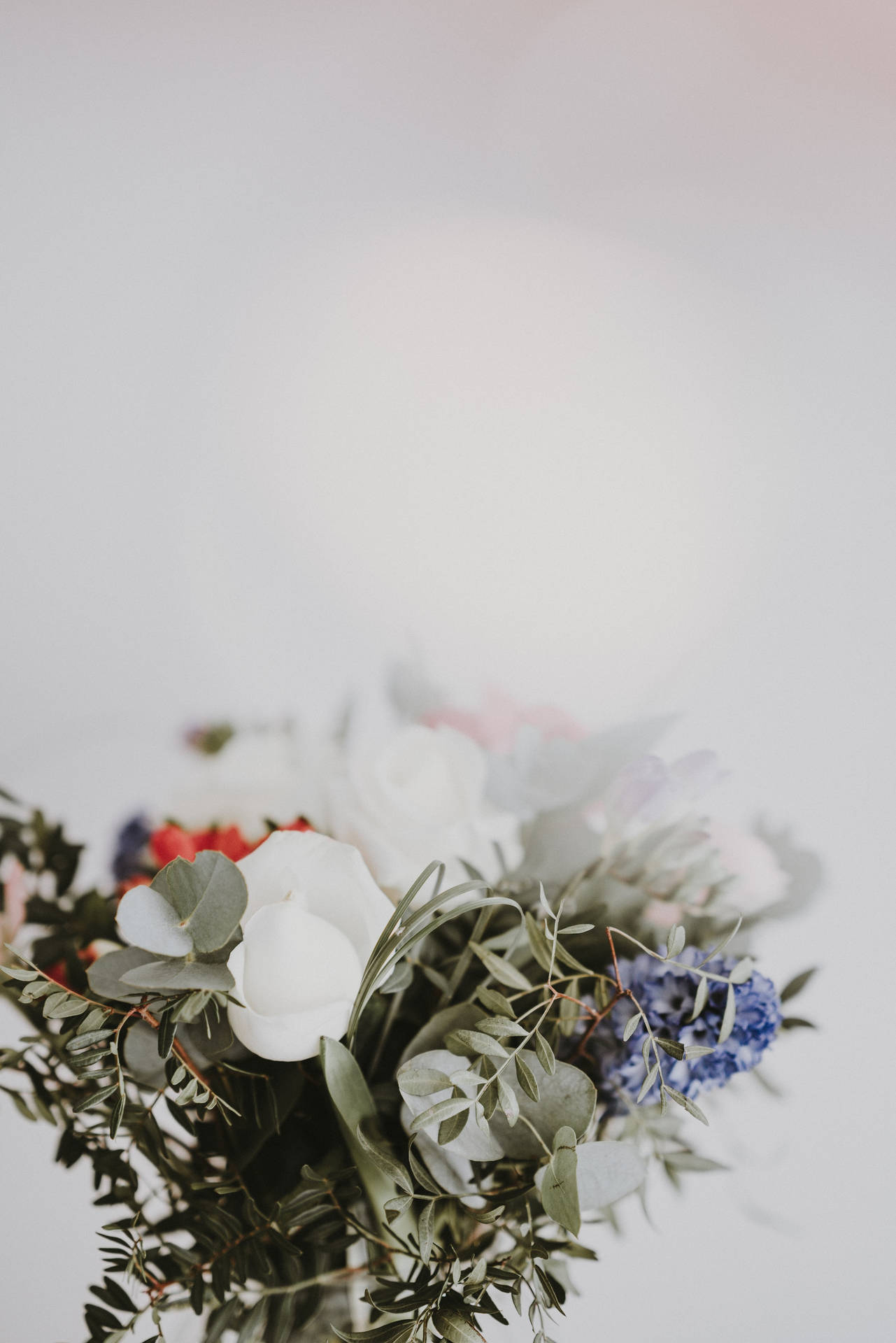 Ramode Flores De Hortensias Y Rosas Blancas Fondo de pantalla