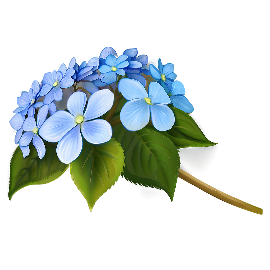 Download Hydrangea Clipart Png 13 | Wallpapers.com