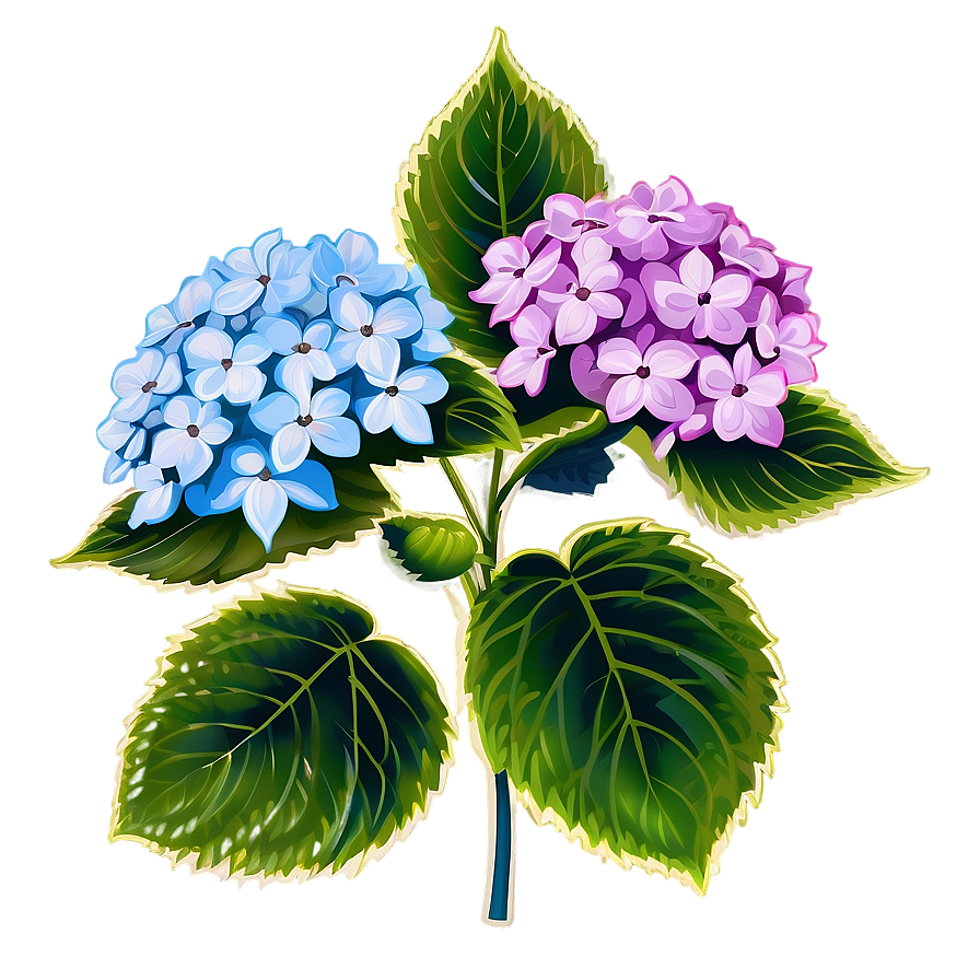 Download Hydrangea Clipart Png 33 | Wallpapers.com