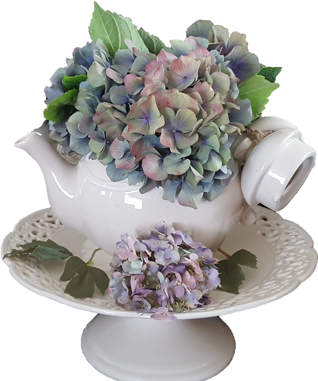 Hydrangeain Teapot Floral Display PNG