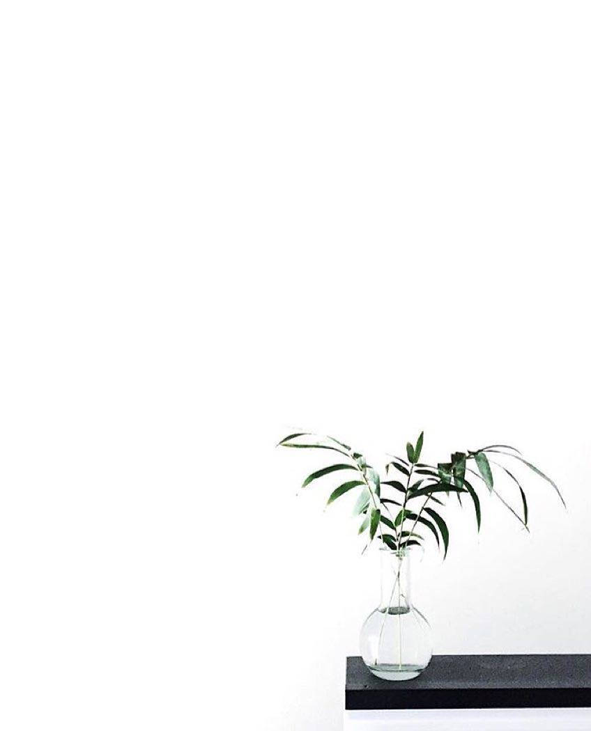 Hydroponic Vase Green And White Aesthetic Wallpaper