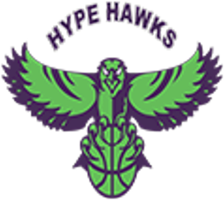 Hype Hawks Basketball Logo PNG