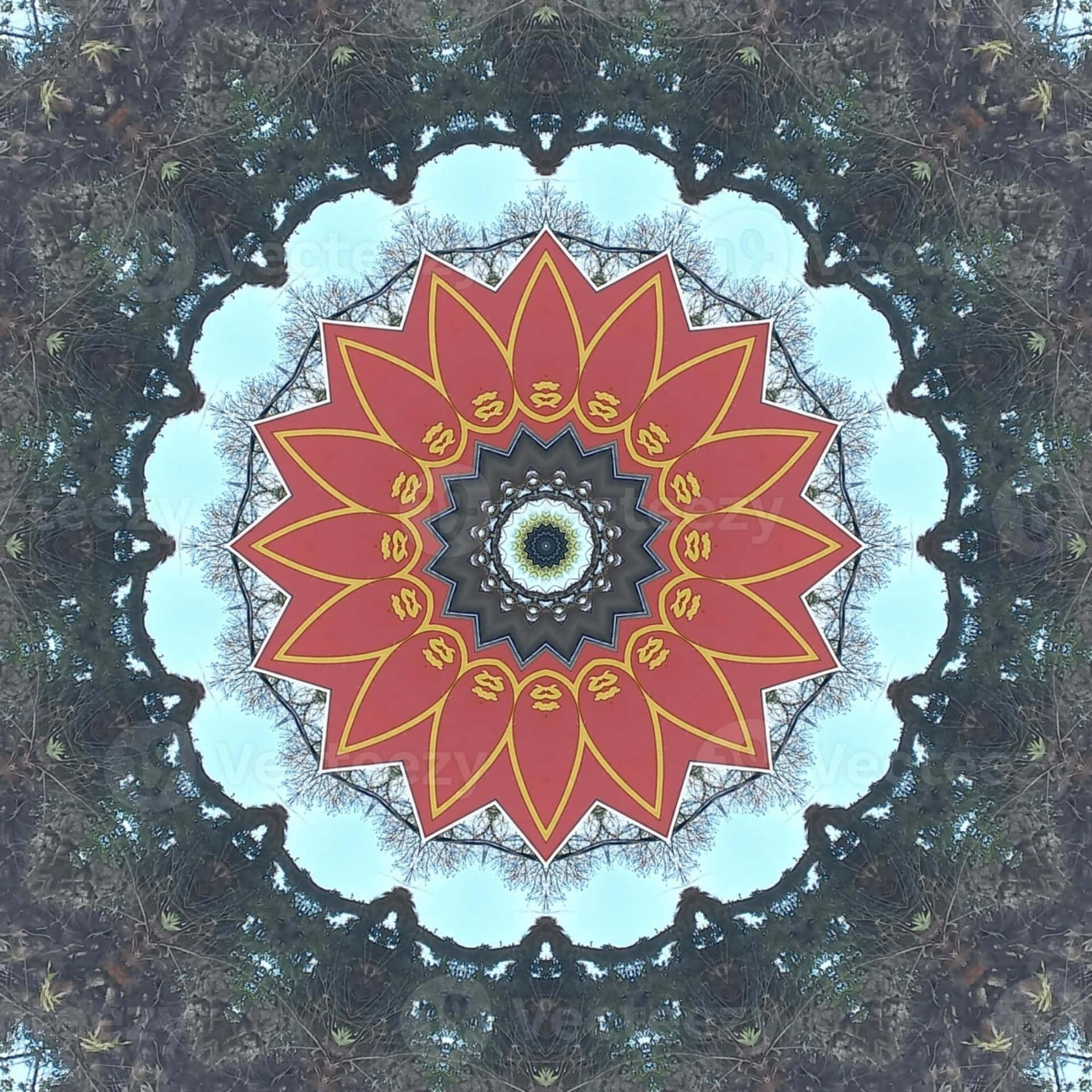 Hypnotic Spiral Enigma