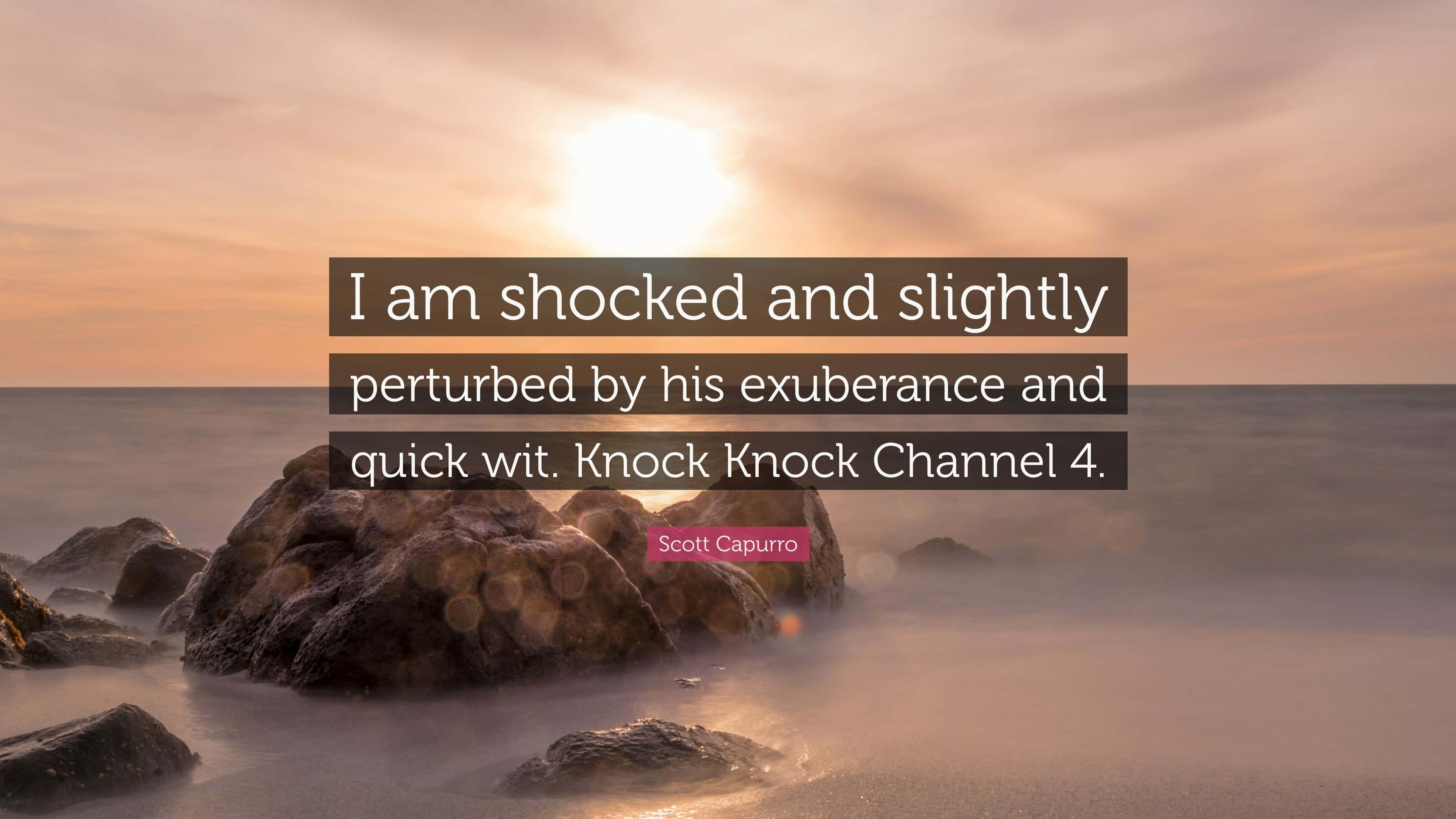 I Am Shocked And Perturbed Quote Wallpaper