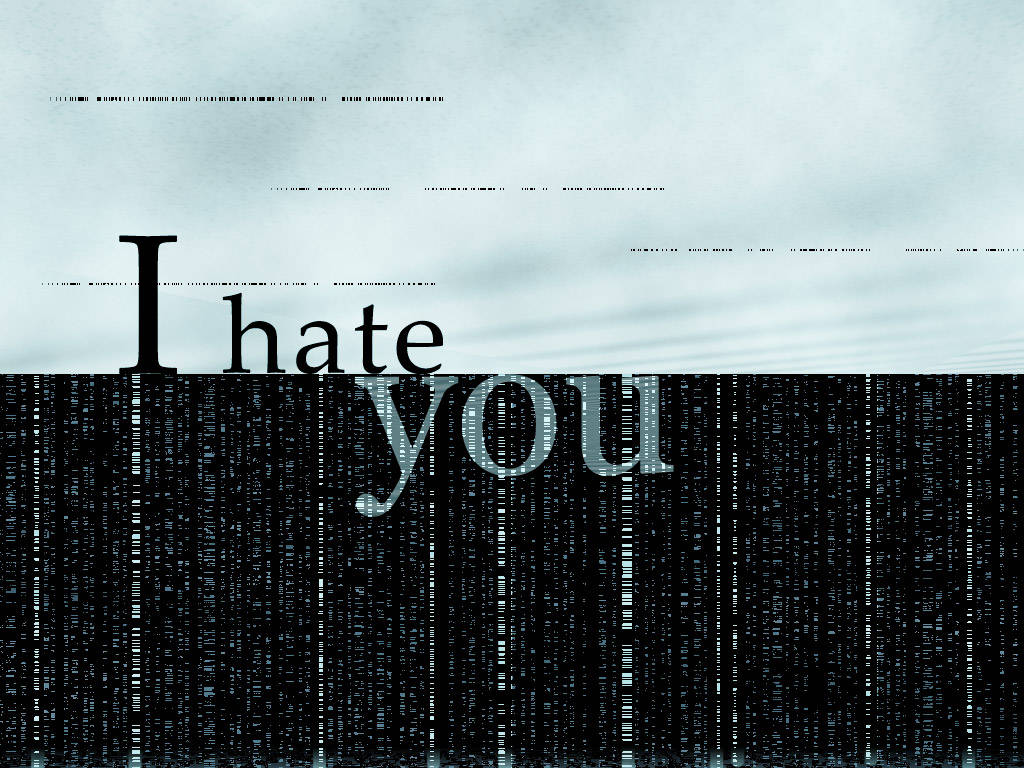 I Hate You With Matrix Design Wallpaper