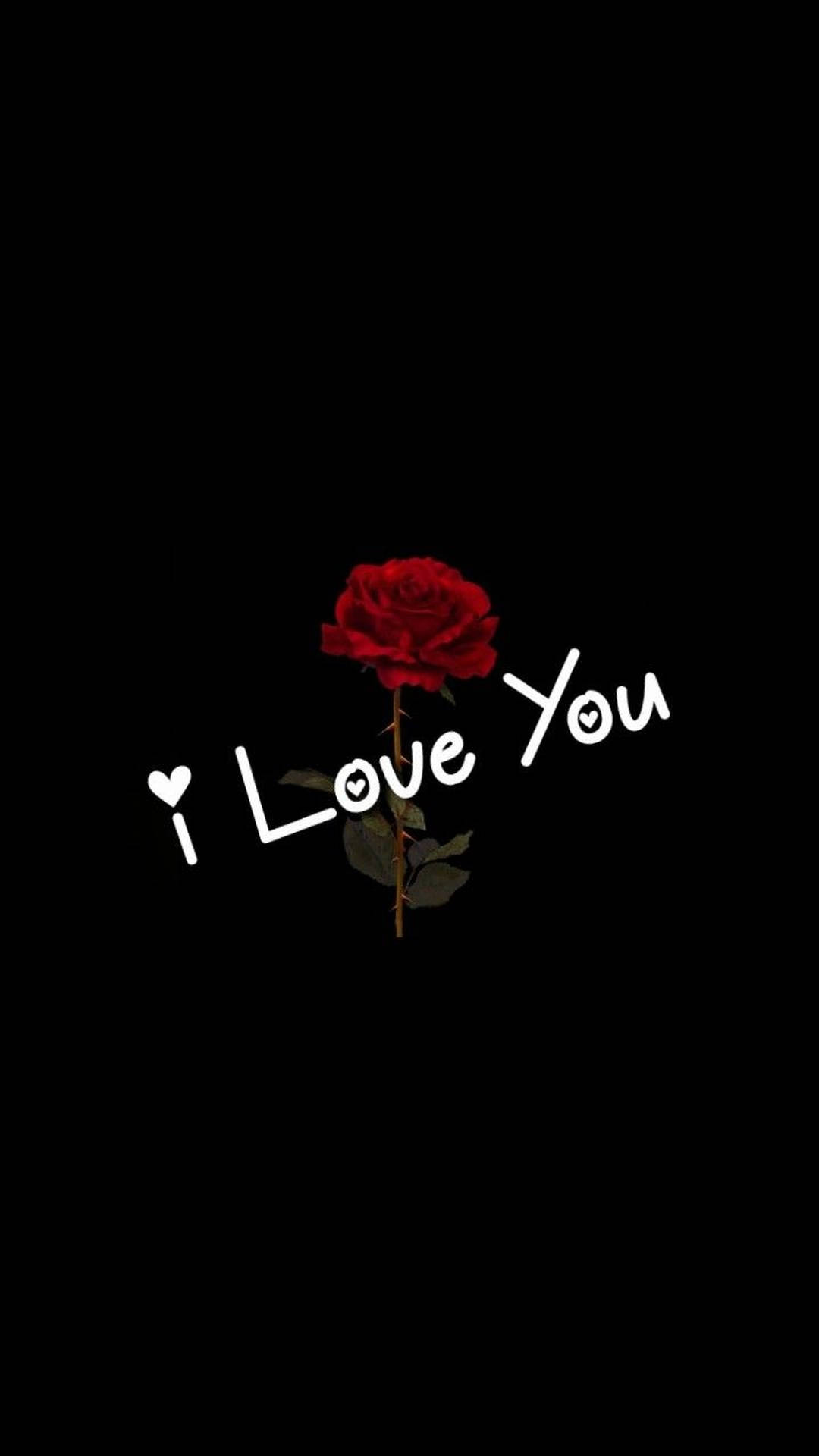 I Love You Red Rose Wallpaper