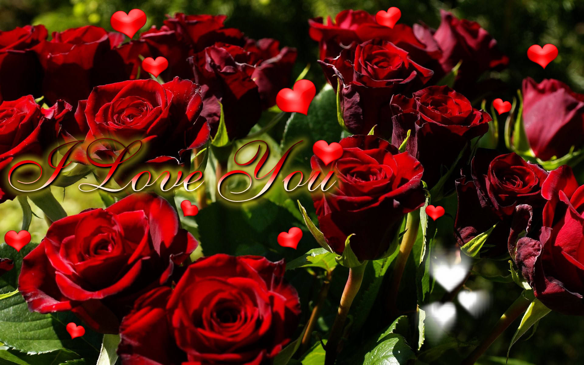 I Love You So Much With Roses