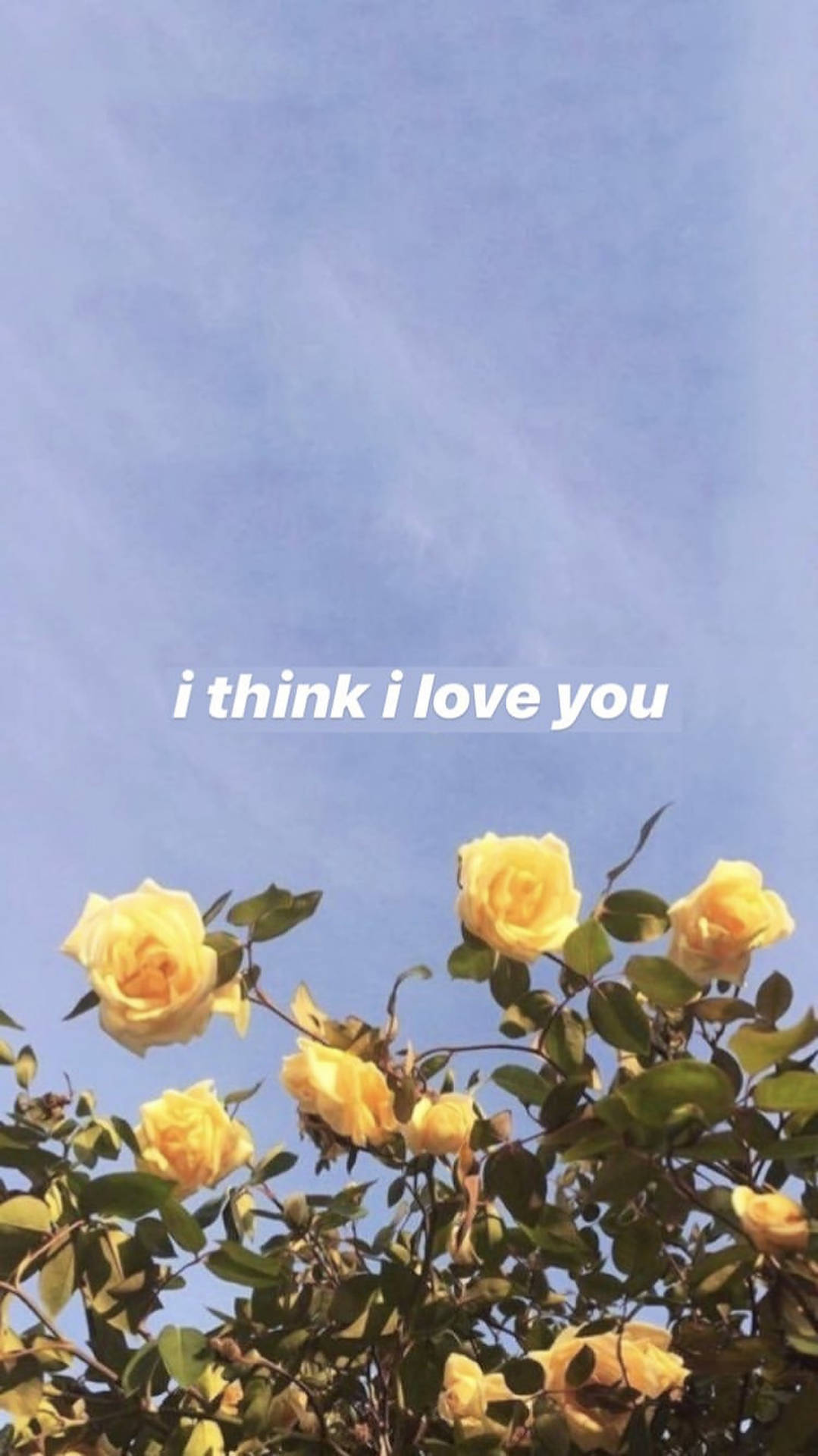 I Love You Yellow Roses Wallpaper