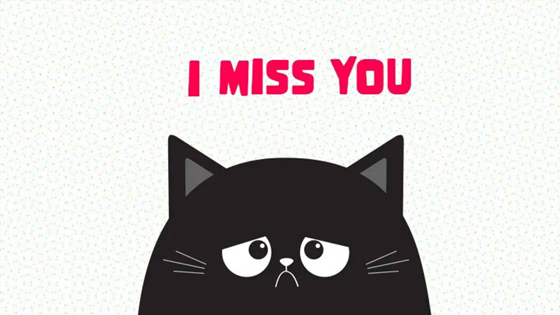 I Miss You Cat