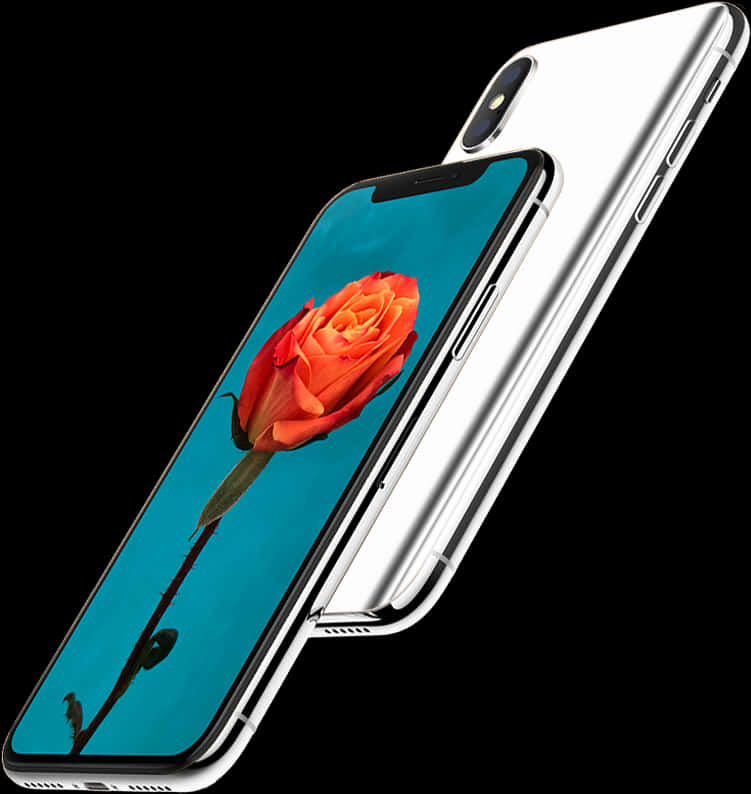 I Phone With Red Rose Wallpaper PNG