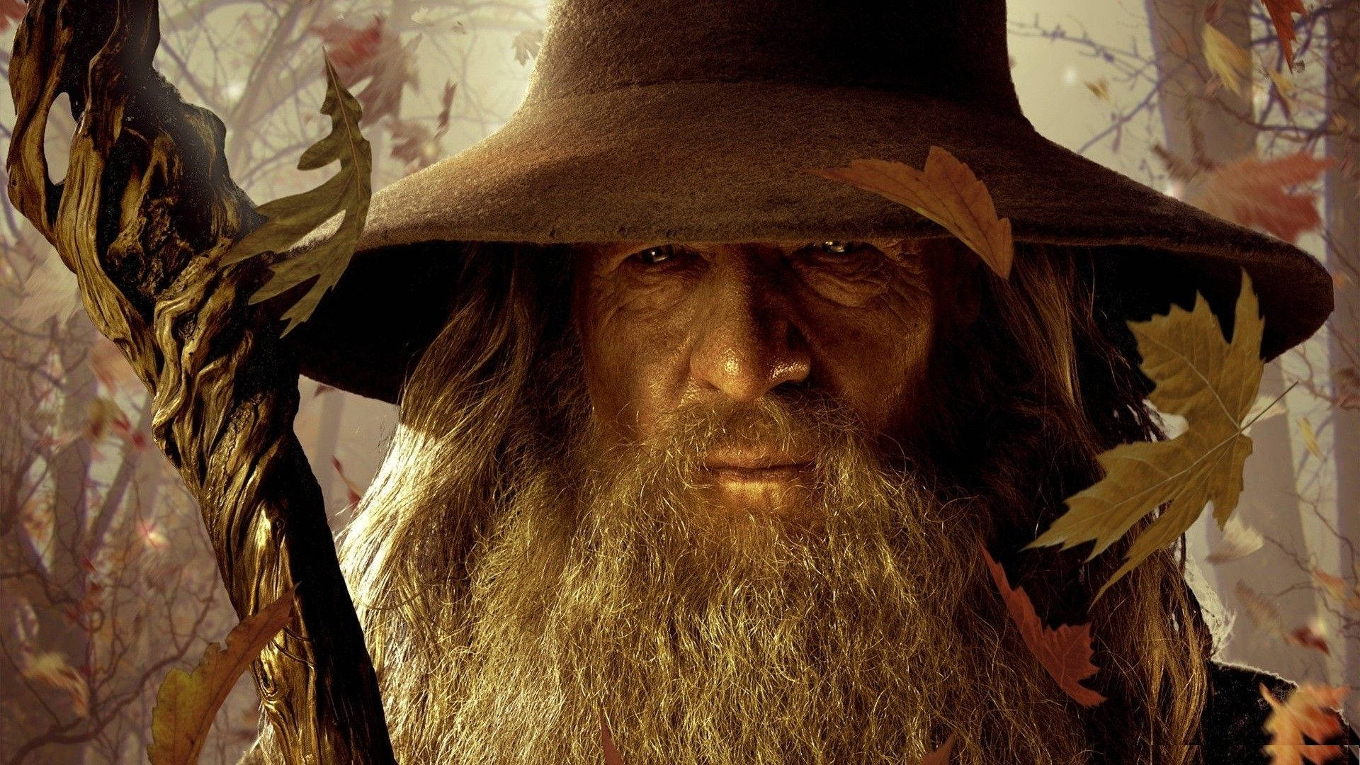 Ian McKellen Gandalf den Grå dekorerer tapetet. Wallpaper