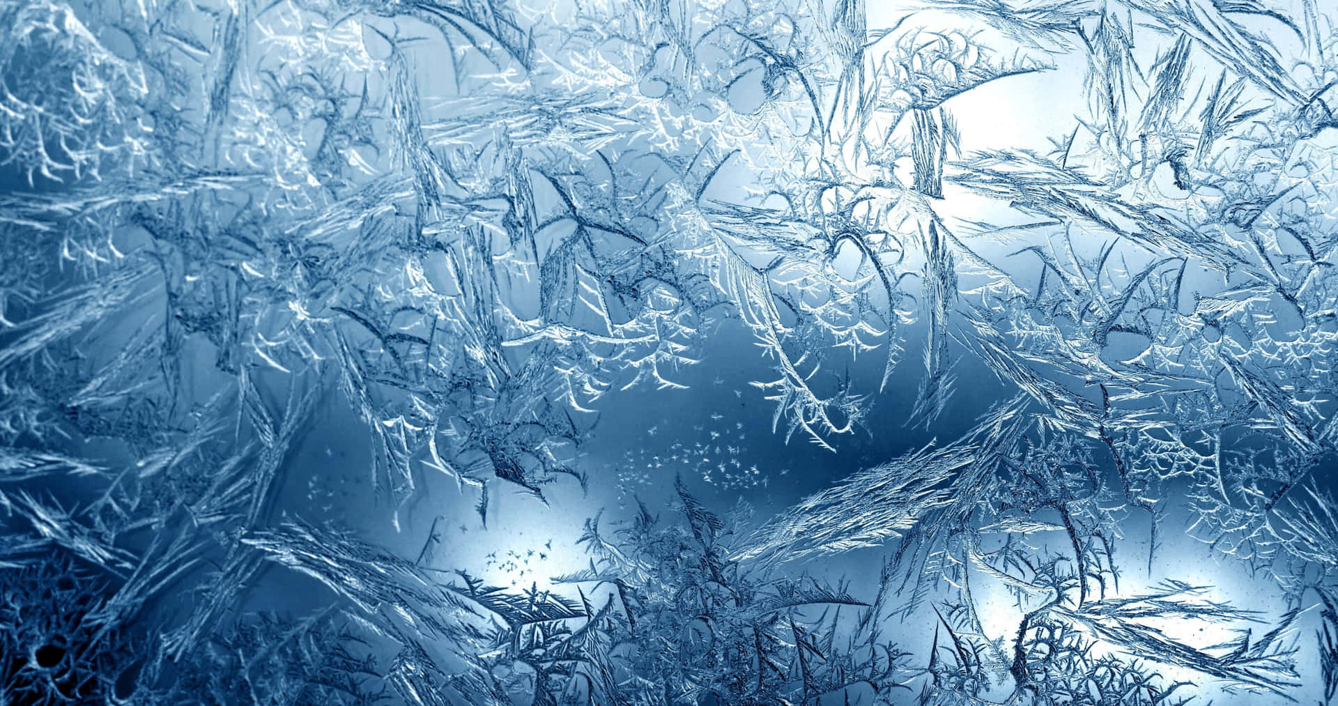 Explore the Icy Landscapes of Nature