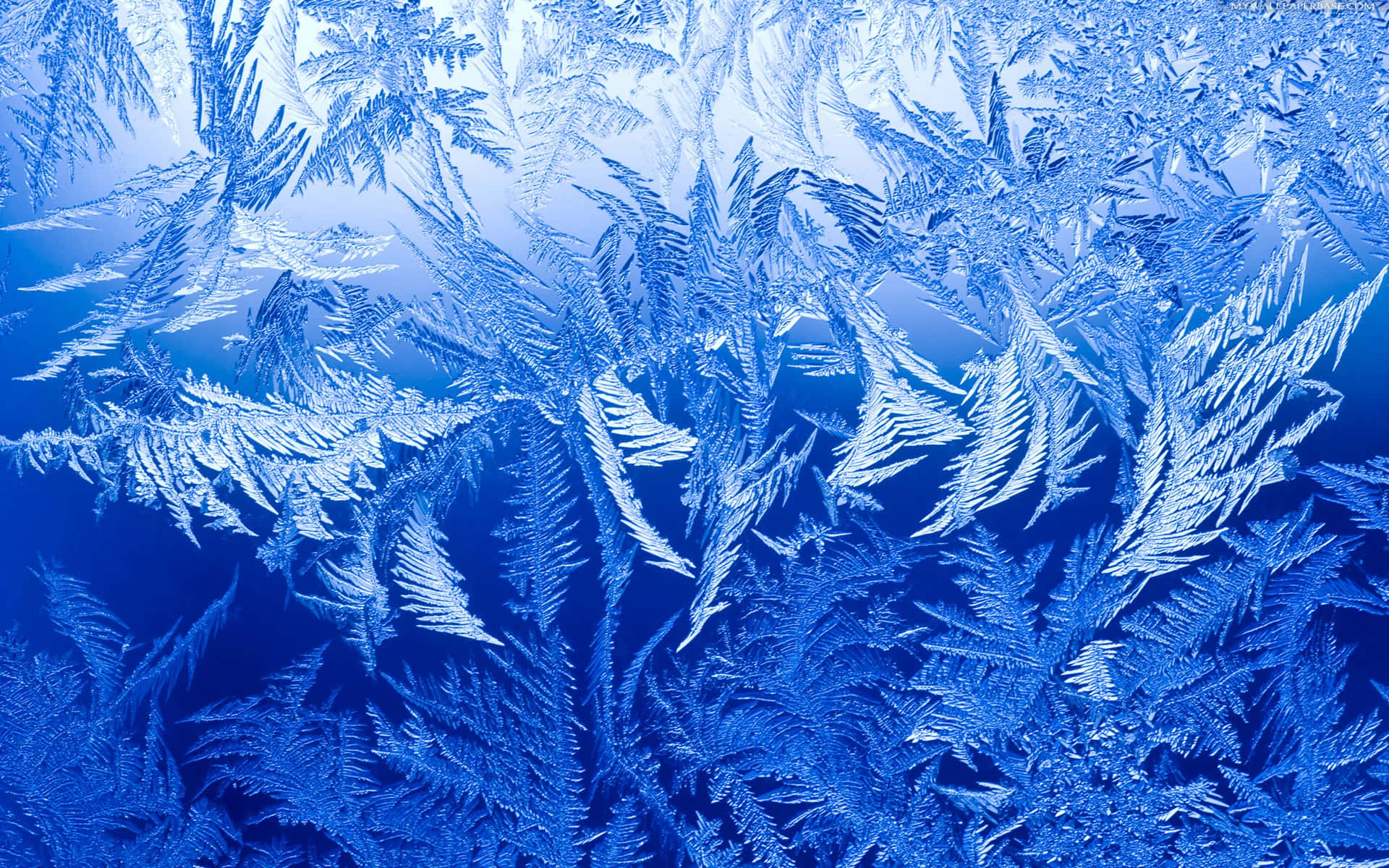 Einblaues Fenster Mit Eiskristallen Darauf.