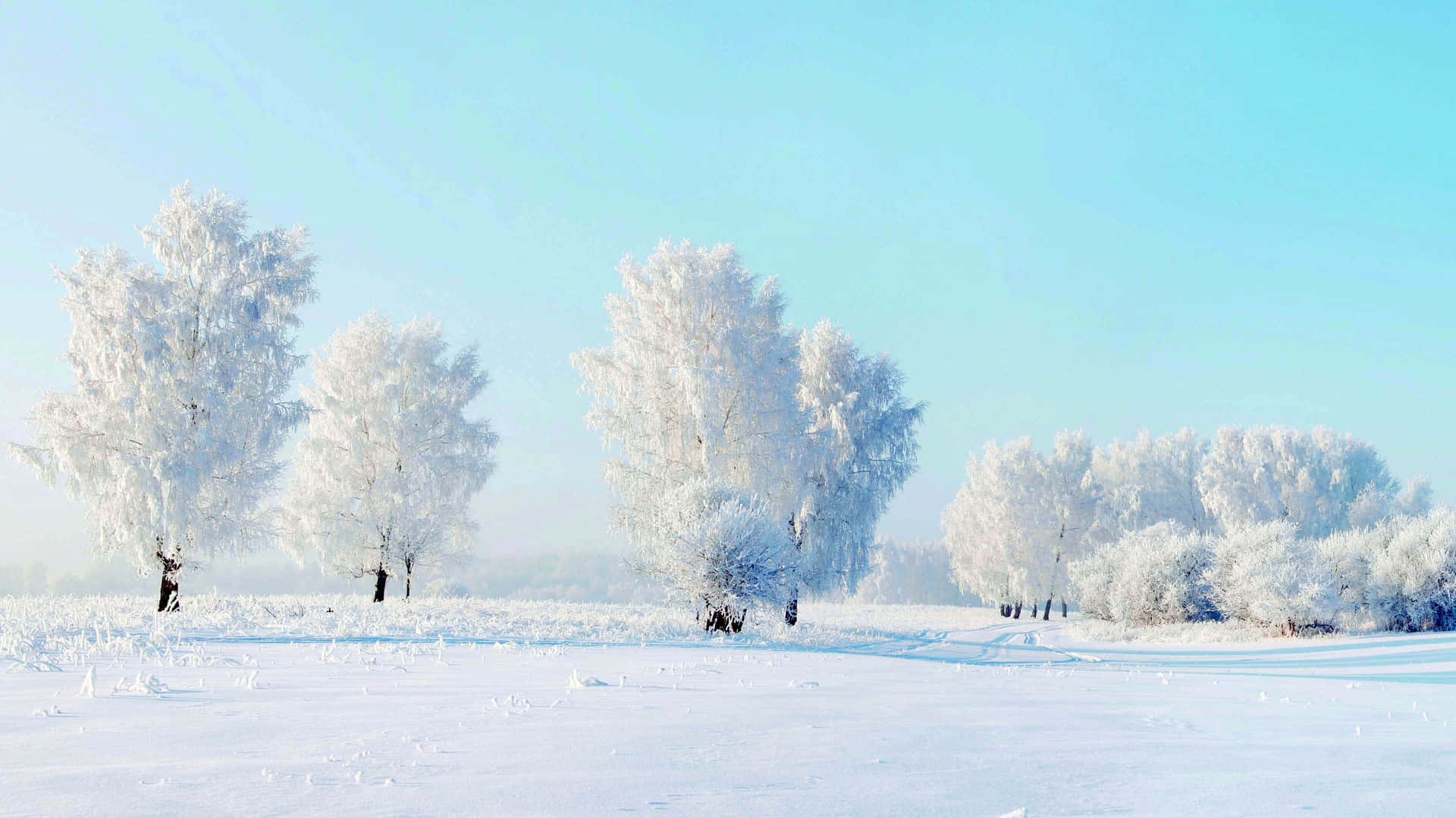 An icy winter wonderland