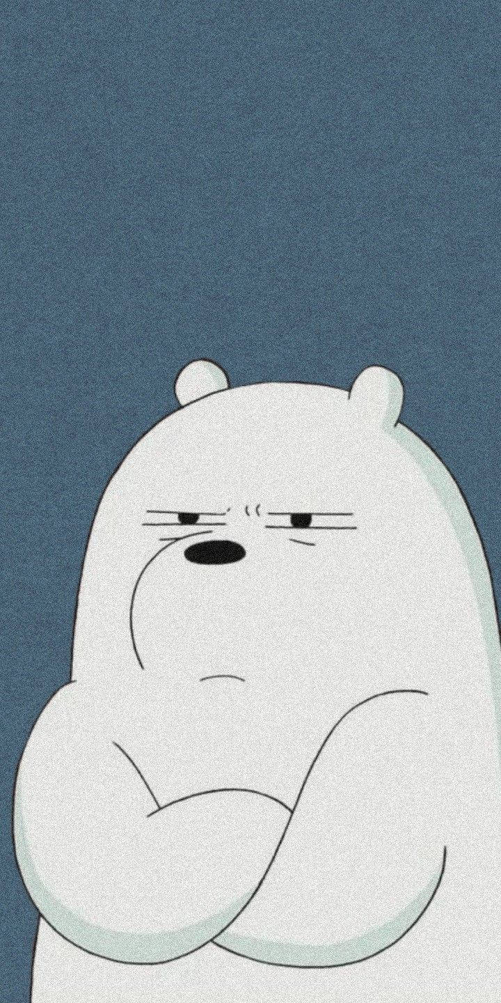 Ice Bear Cartoon Grumpy Background