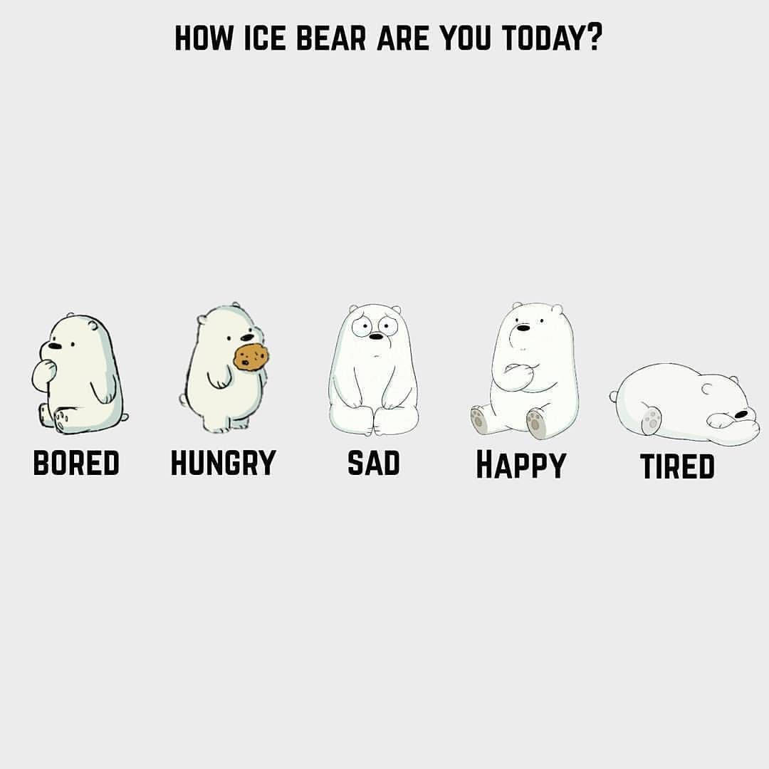 Ice Bear Cartoon Various Emotions Wallpaper