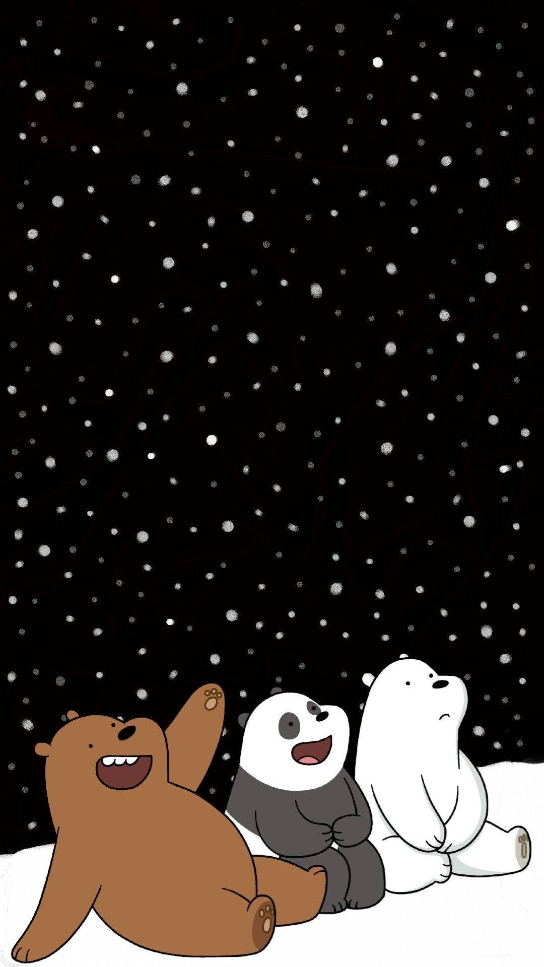 Ice Bear Panda Grizzly Watching Stars Background