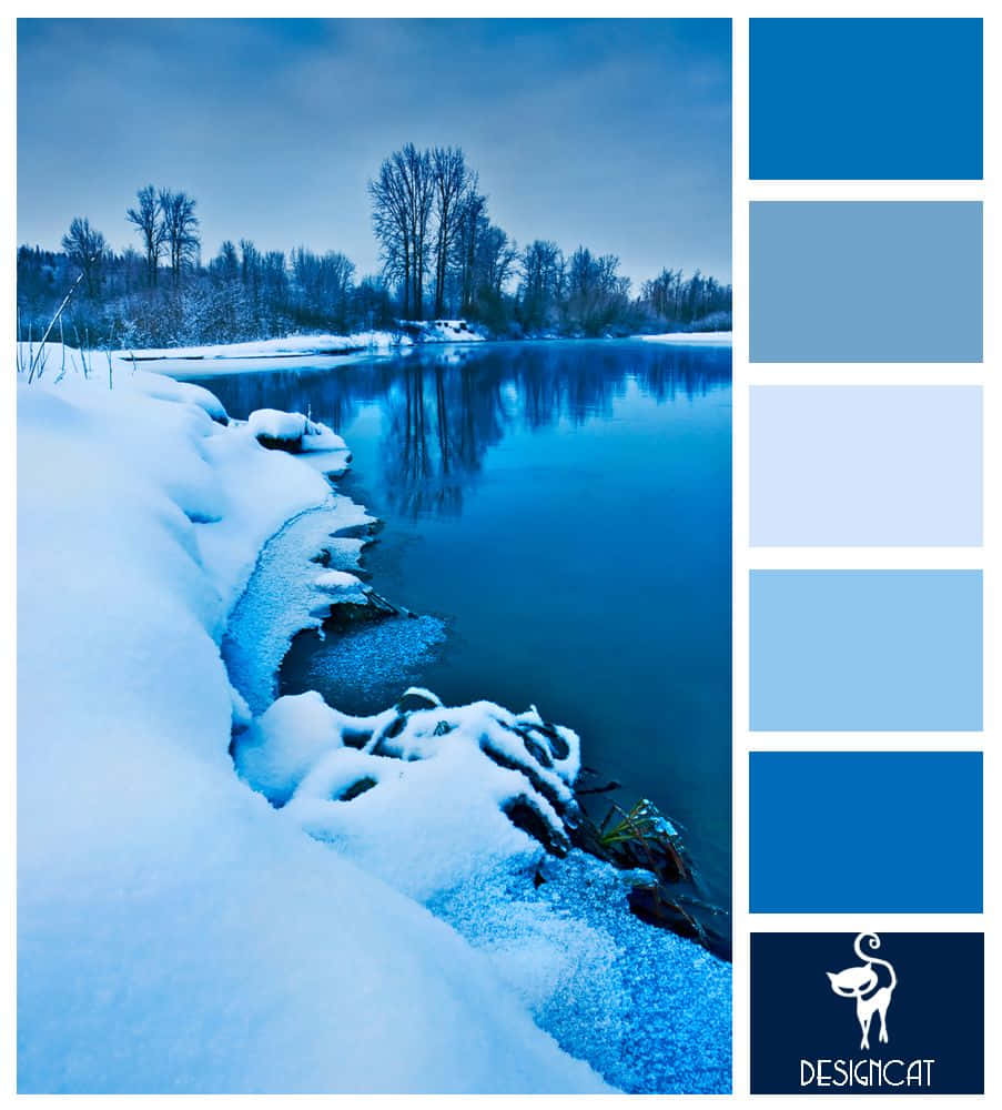 A Closeup of Intriguing Ice Blue Wallpaper