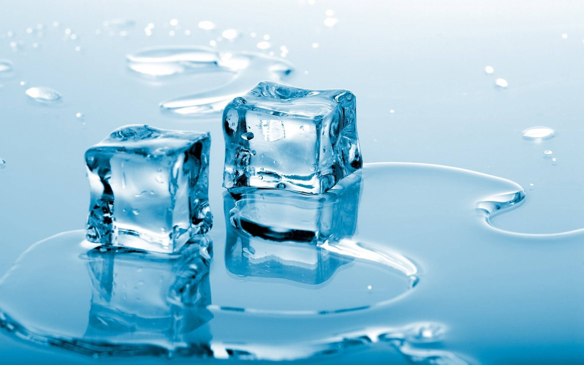 Ice Cube Puddles Wallpaper