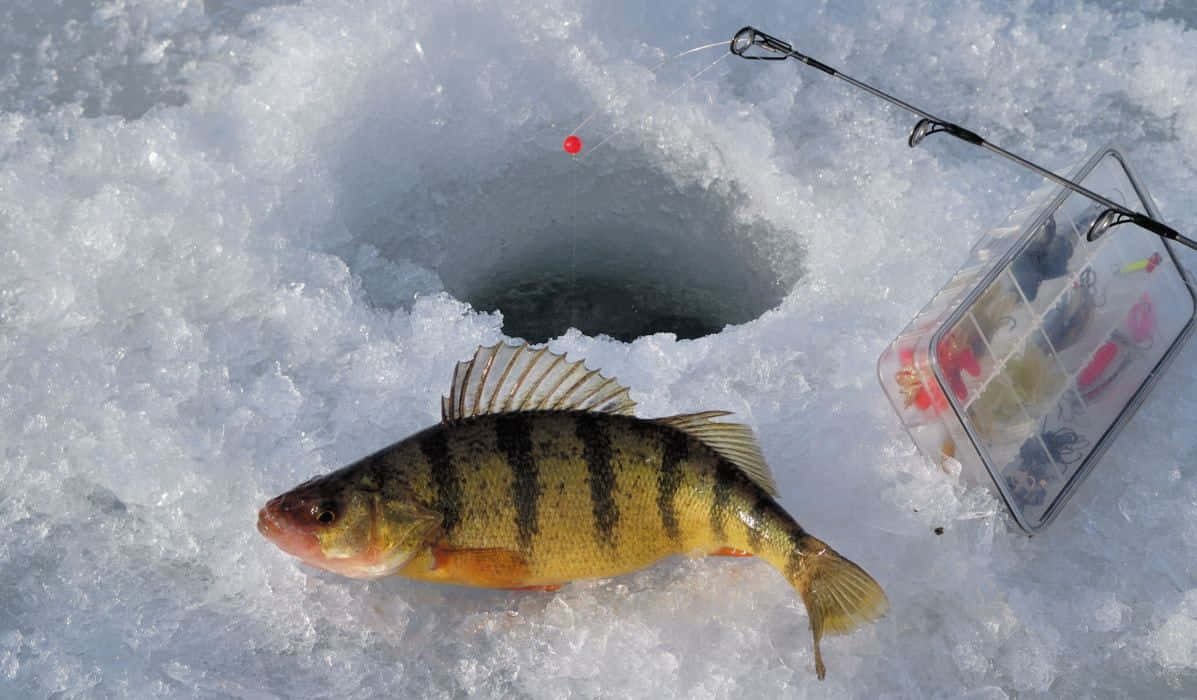Unmomento Sereno En El Lago Congelado Con Equipos De Pesca En Acción. Fondo de pantalla